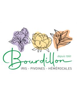 Collection "Bourdillon"