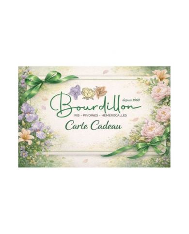 Carte cadeau 30€