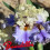 Iris : All Ashore