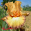 Iris : Oil Painting