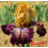 Iris : Raining Cats And Dogs