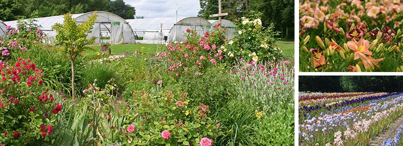 Journées Portes ouvertes à la pépinière 14-15  Mai 2022